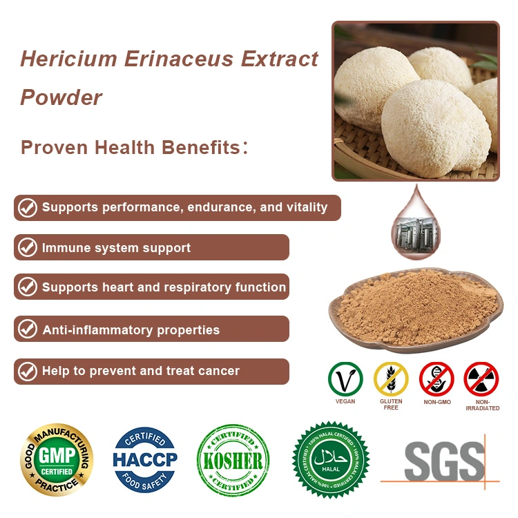 Organic Lion′ S Mane Mushroom Plant Extract Hericium Erinaceus Reishi Cordyceps Militaris Mushroom Herbal Powder